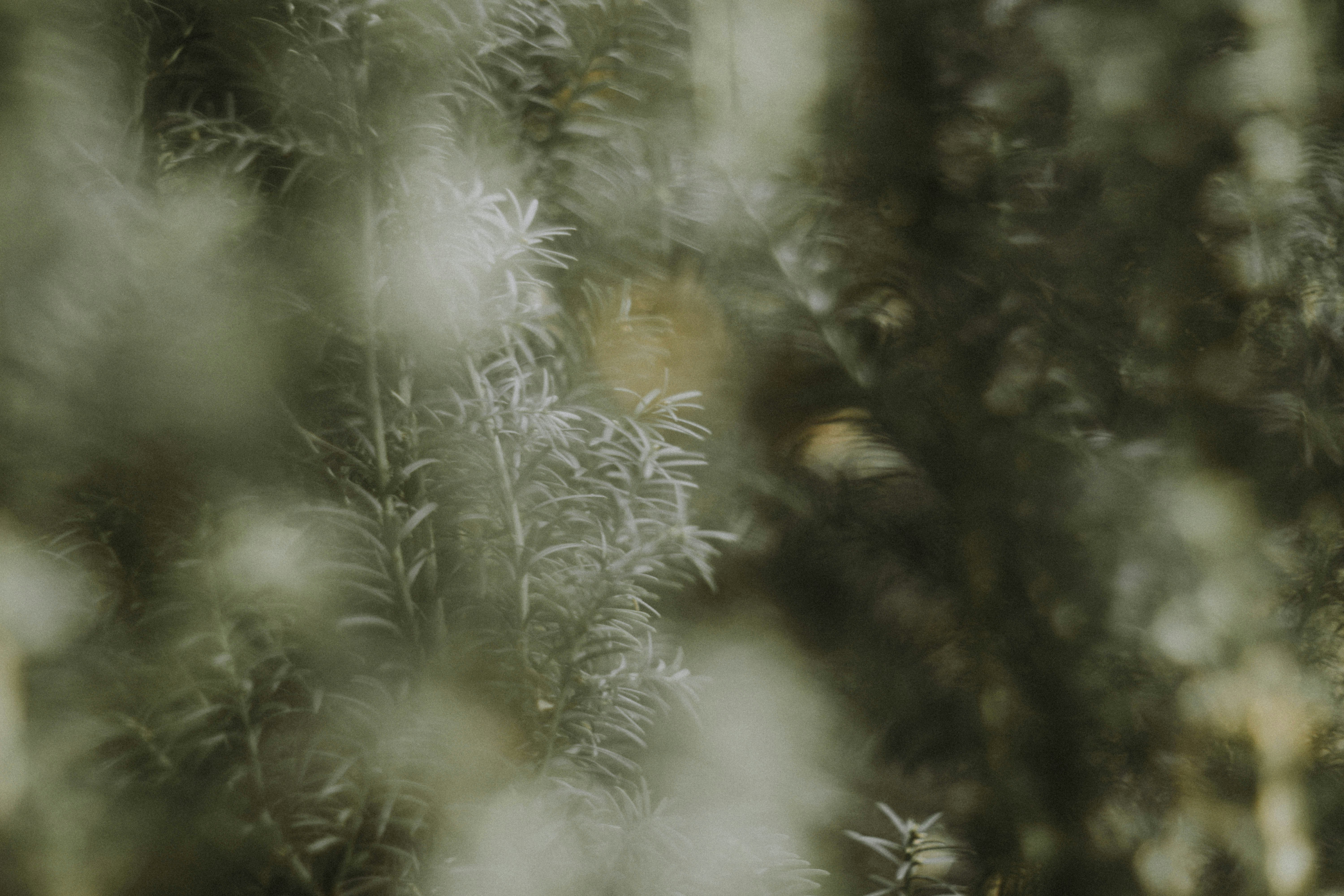 Photo by kimnana_hazza