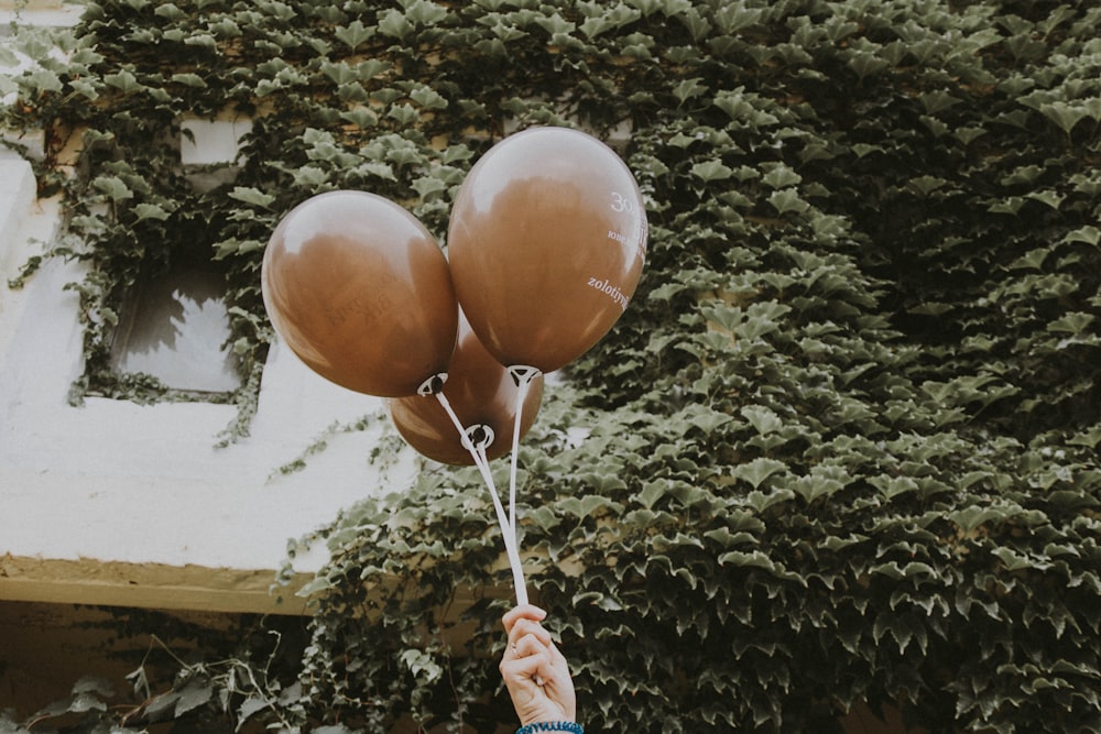 person holding three balloons