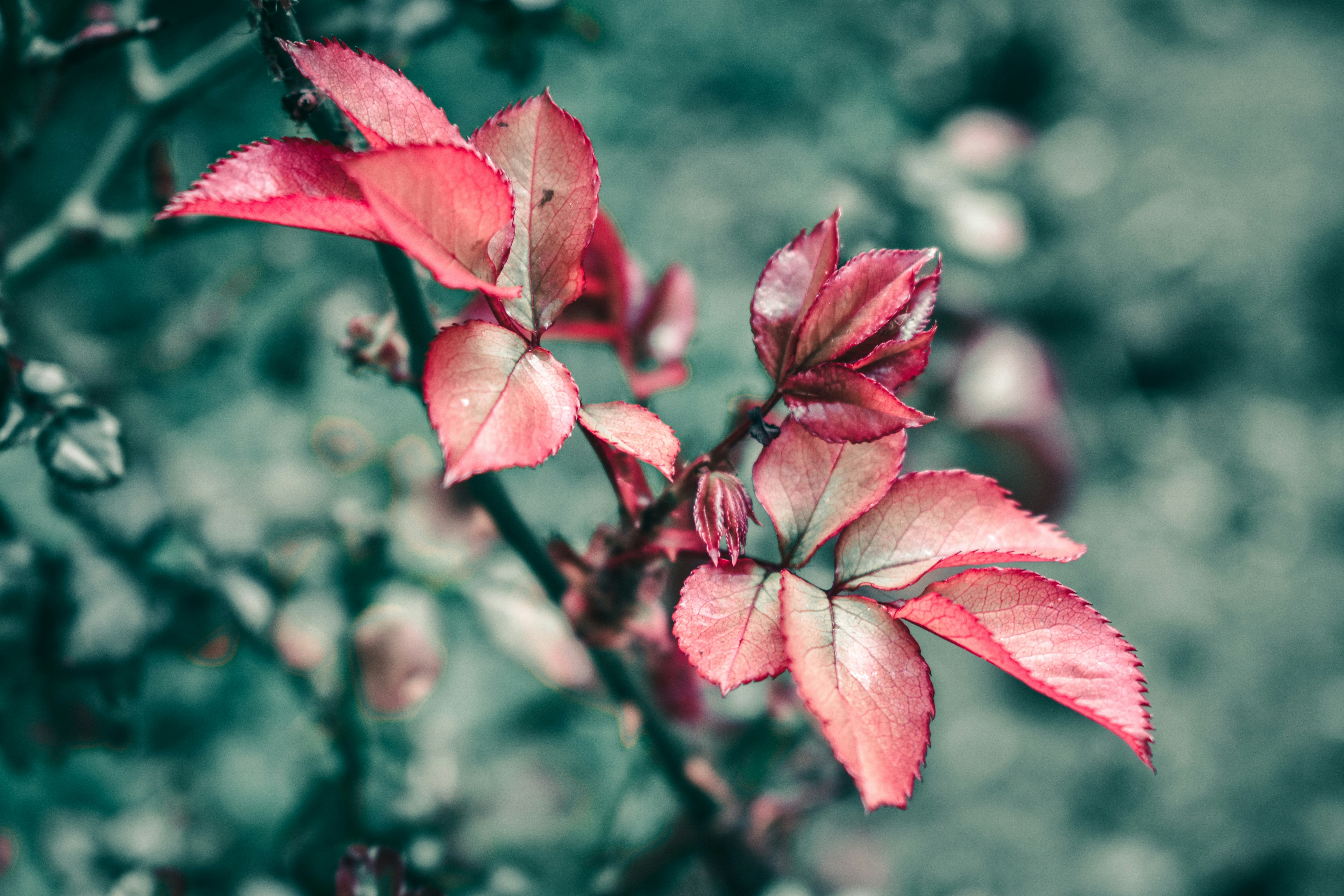 The Lost Art of the Guest Room