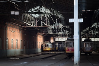 yellow-and-white trains