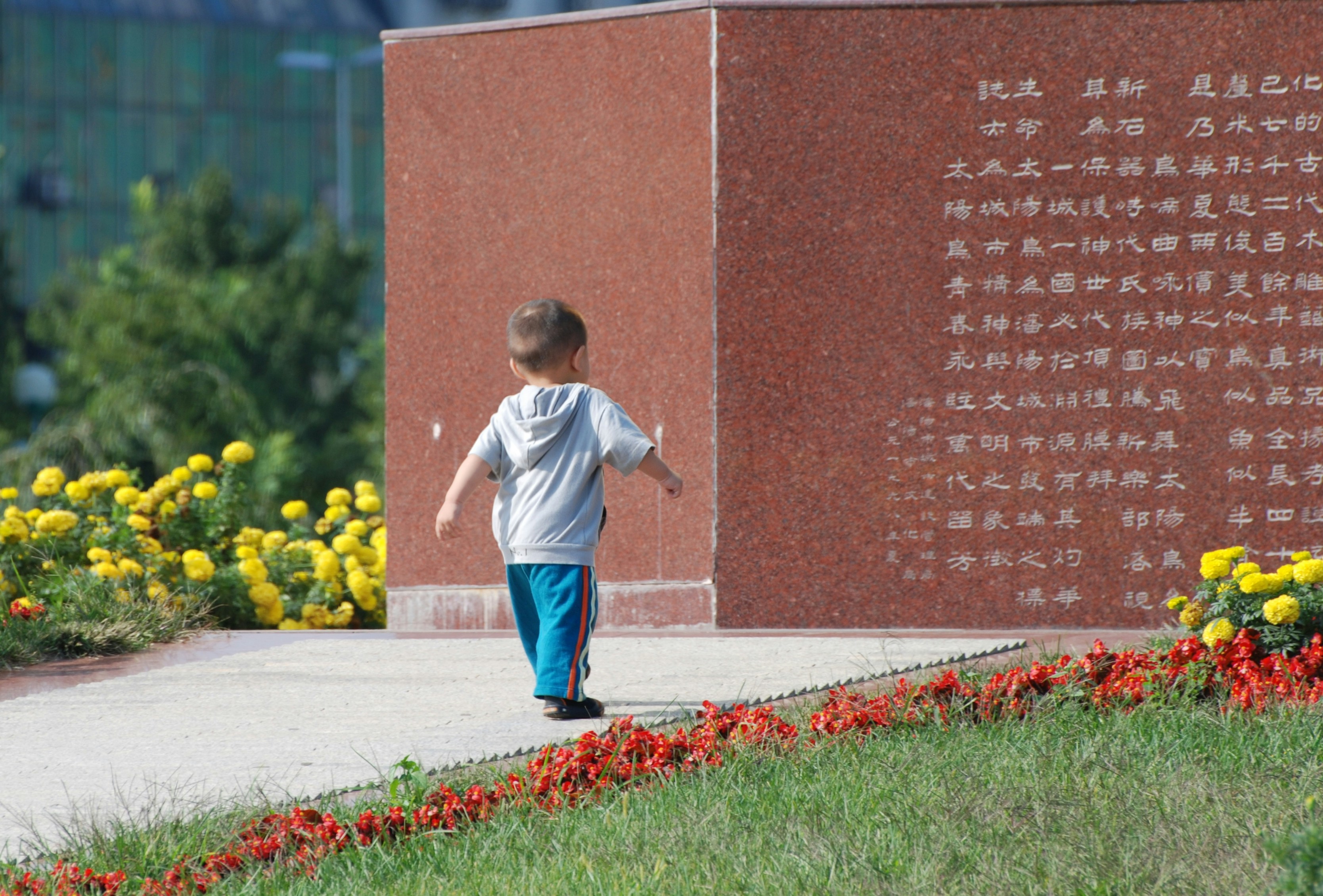 boy walking beside flowers