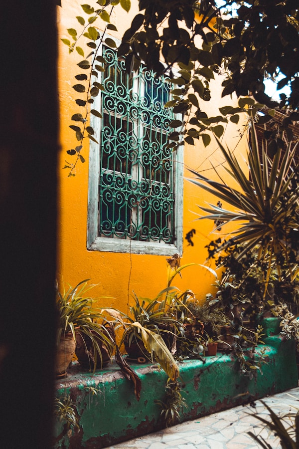 Optimal Weather in Tunis: Seasons & Months for Ideal Visits