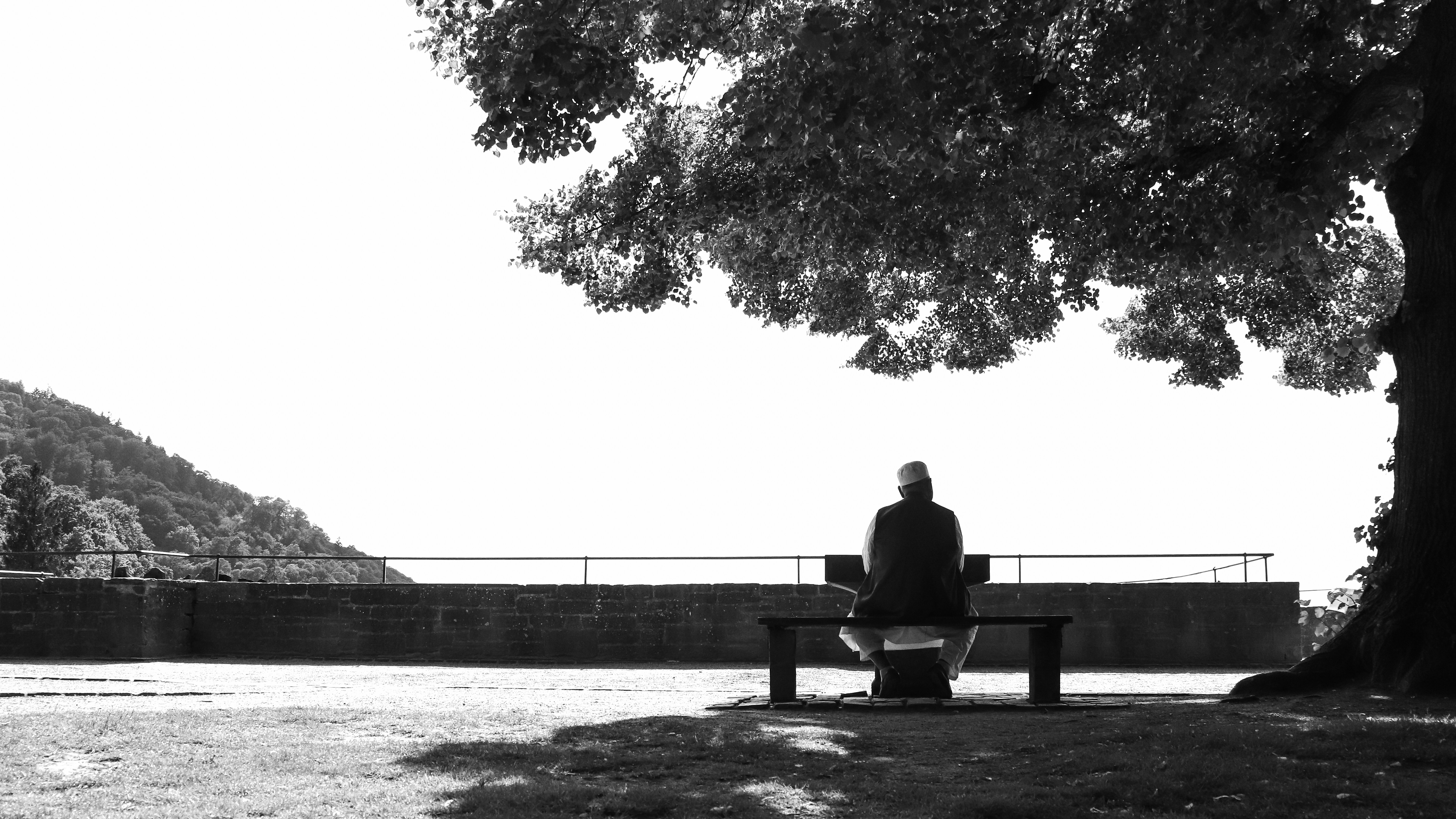 Photo by _king_louie_