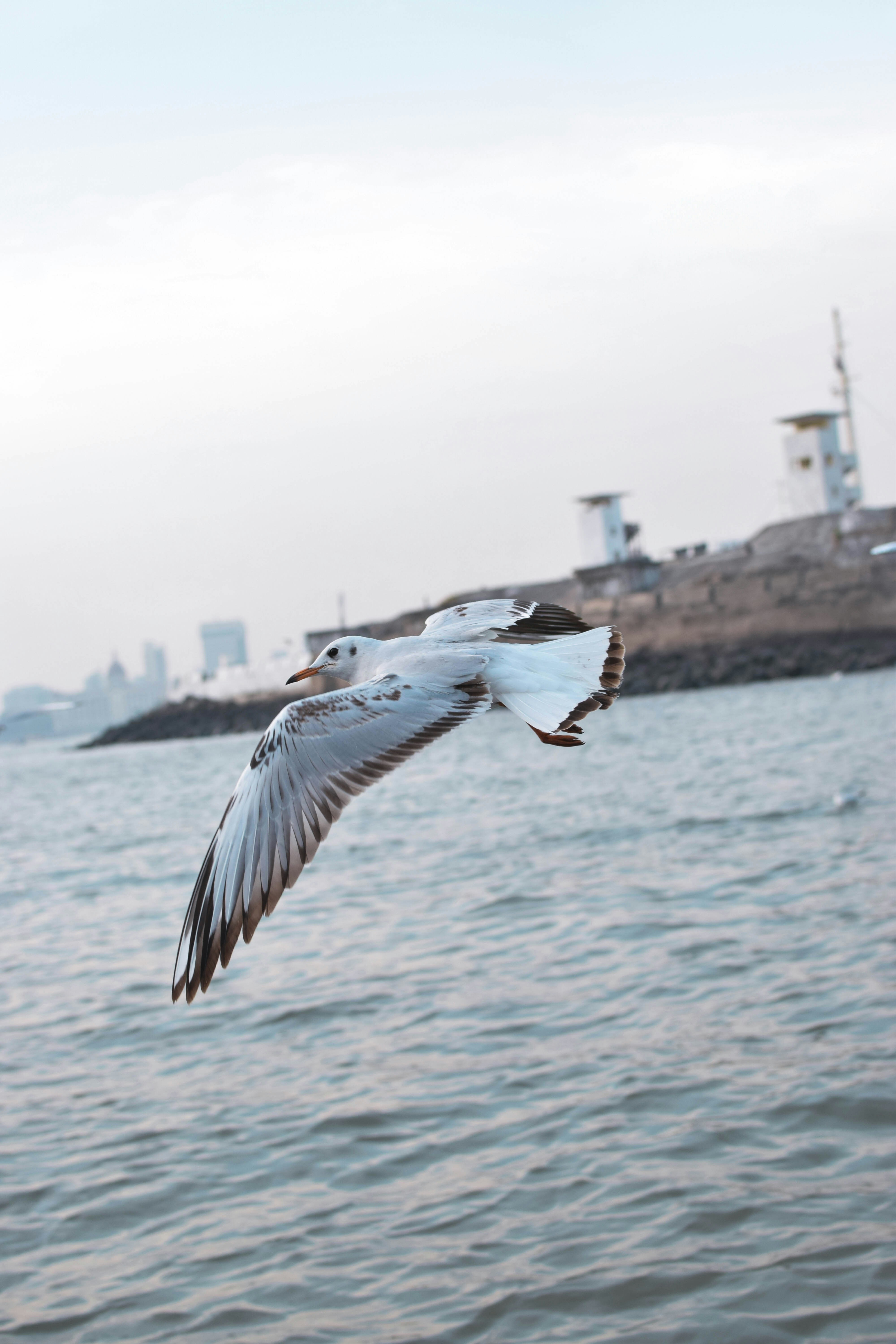 Photo by ruin_firefly
