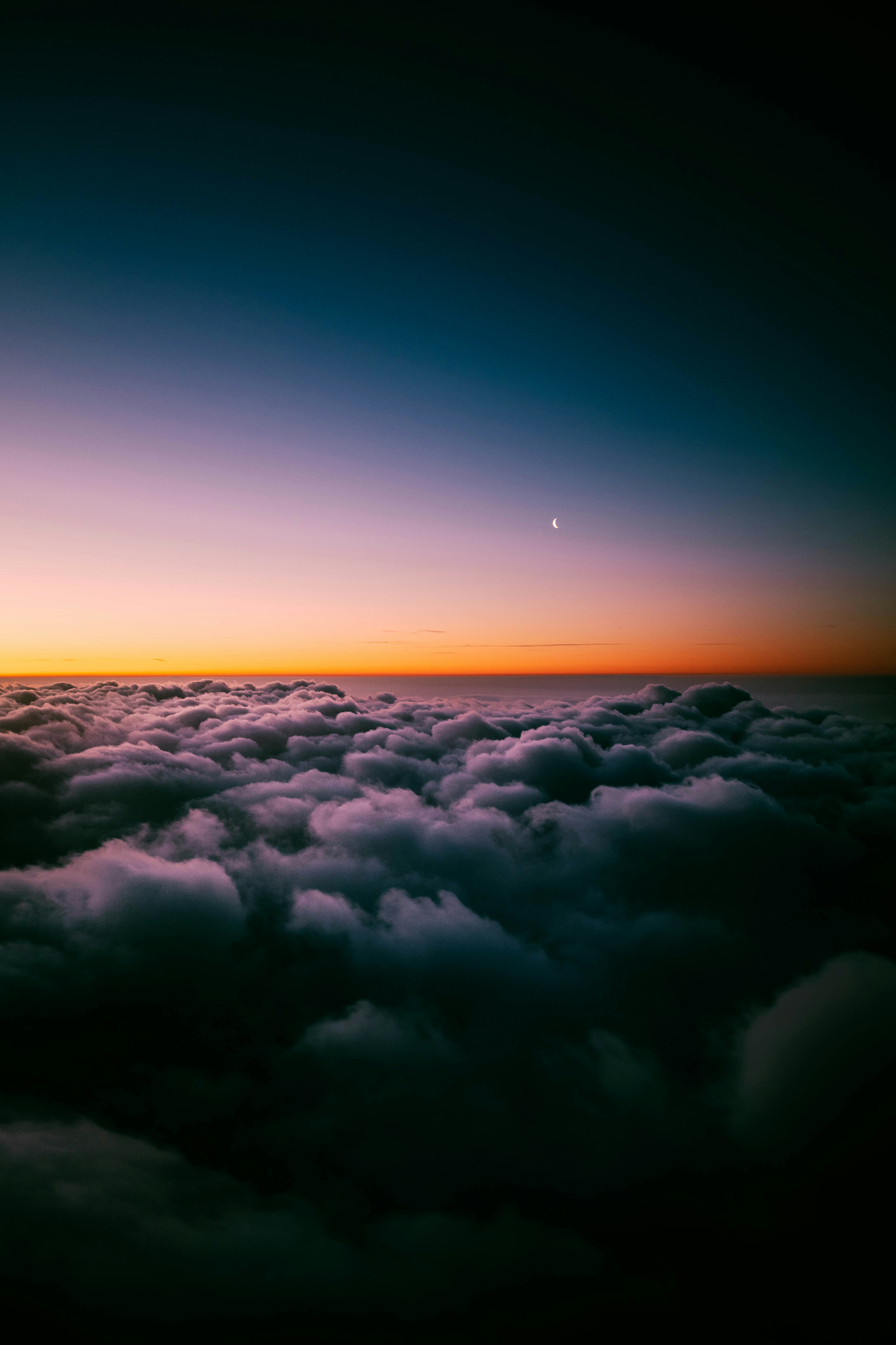 local horizon definition