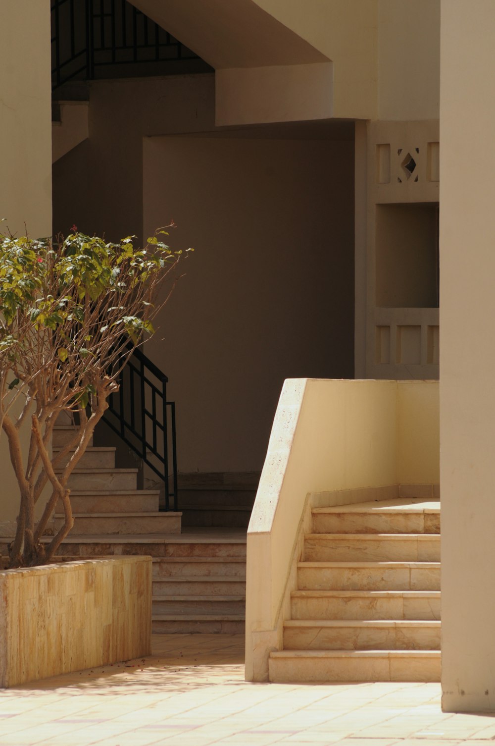 green plants near concrete stairs