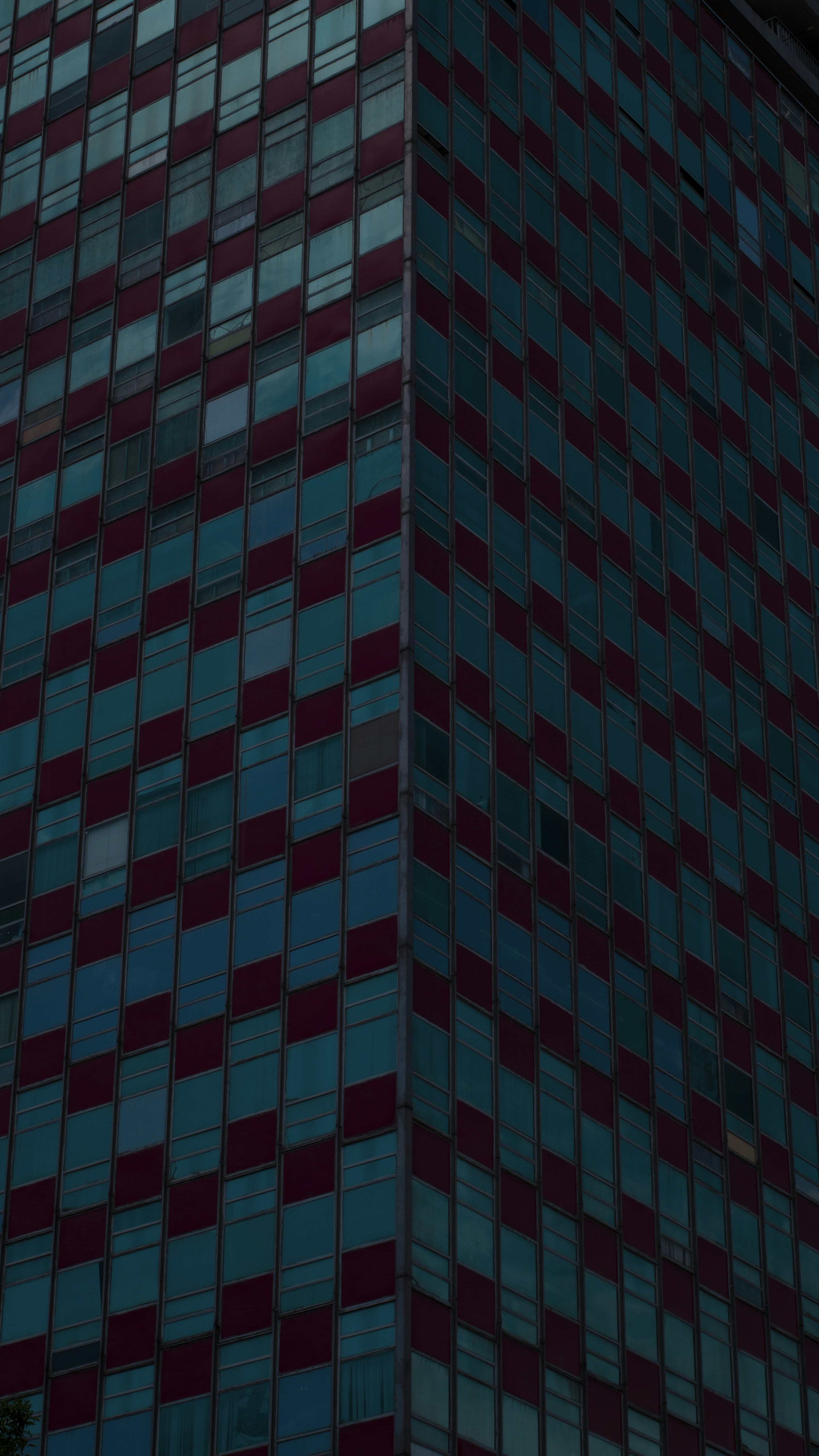 The Arms Race That Never Ends: How Predators and Prey Shape Each Other