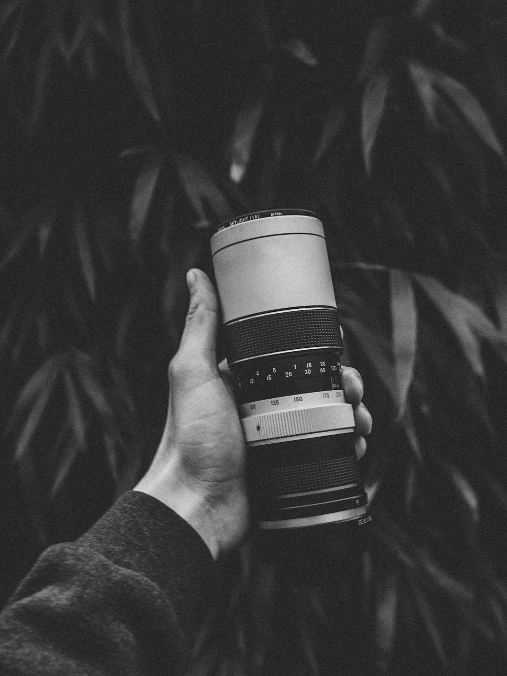 gray scale photo of person holding camera lens