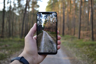 Smartphone screen displaying a clear bio-signature being captured via ultra-wideband in a forest setting, contrasting a messy GPS signal with a clean, certified one.