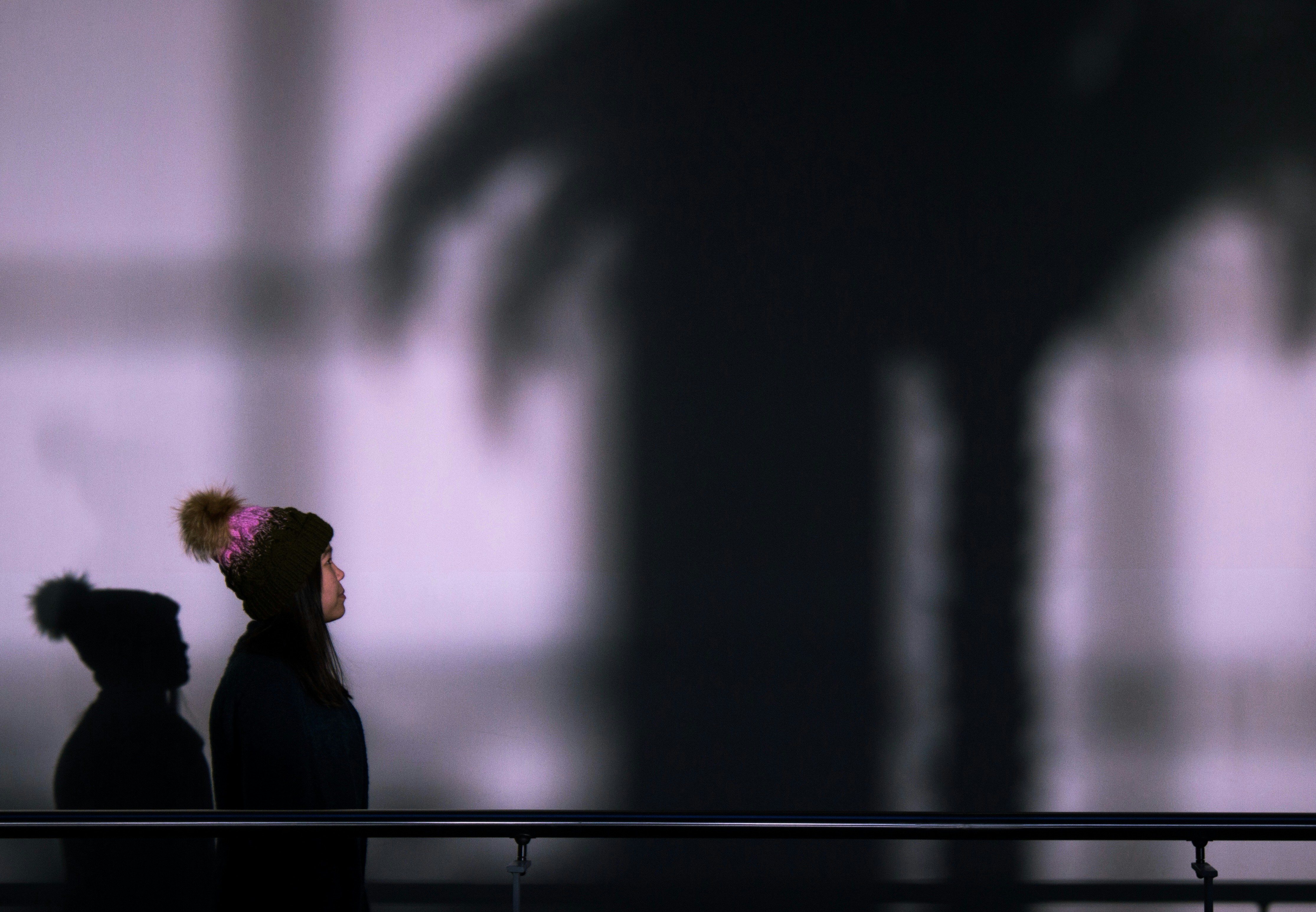 Woman standing silhouette