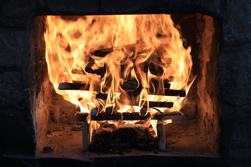 close-up photo of burned firewood