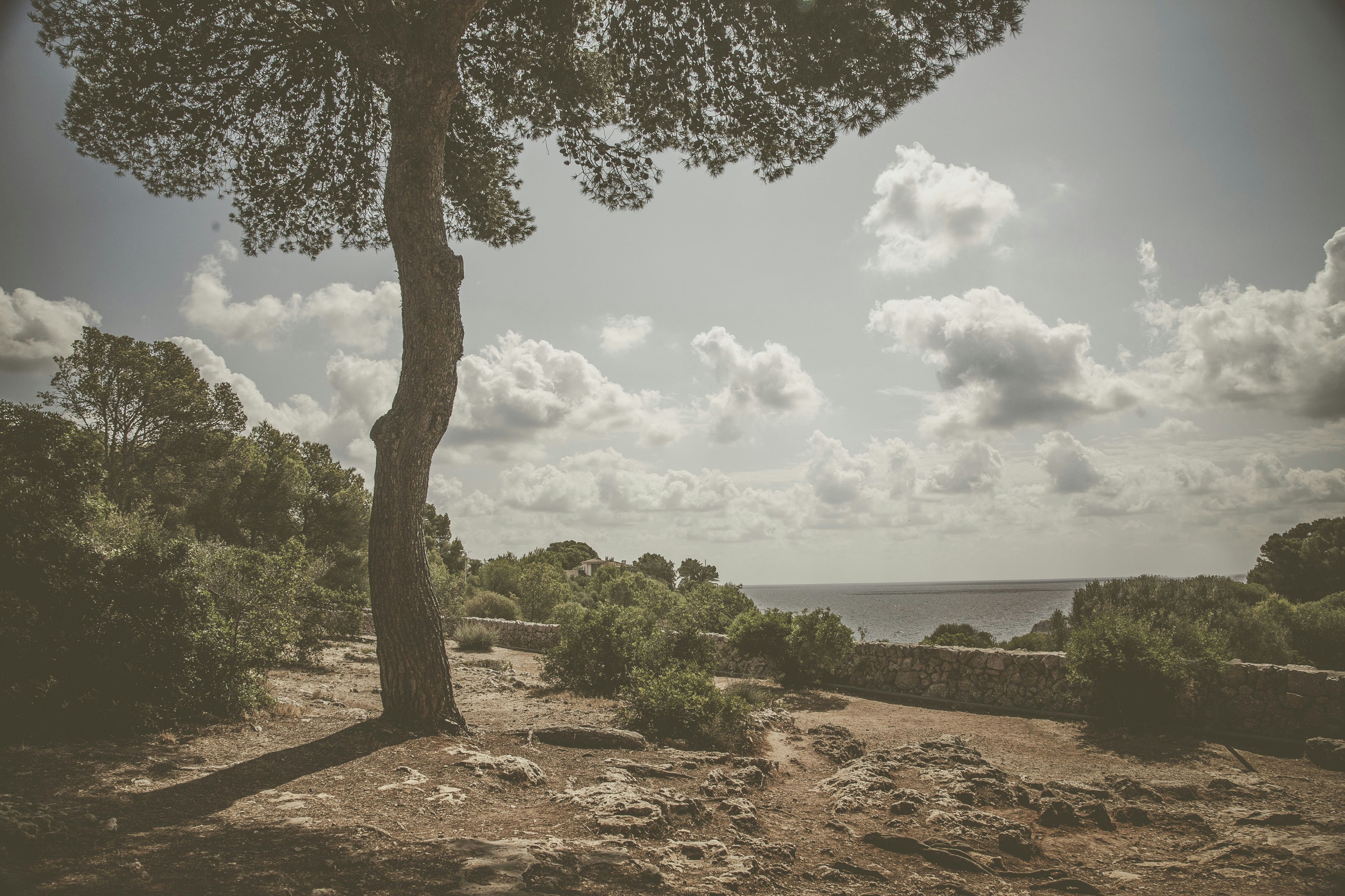 Photo by quadratmedia