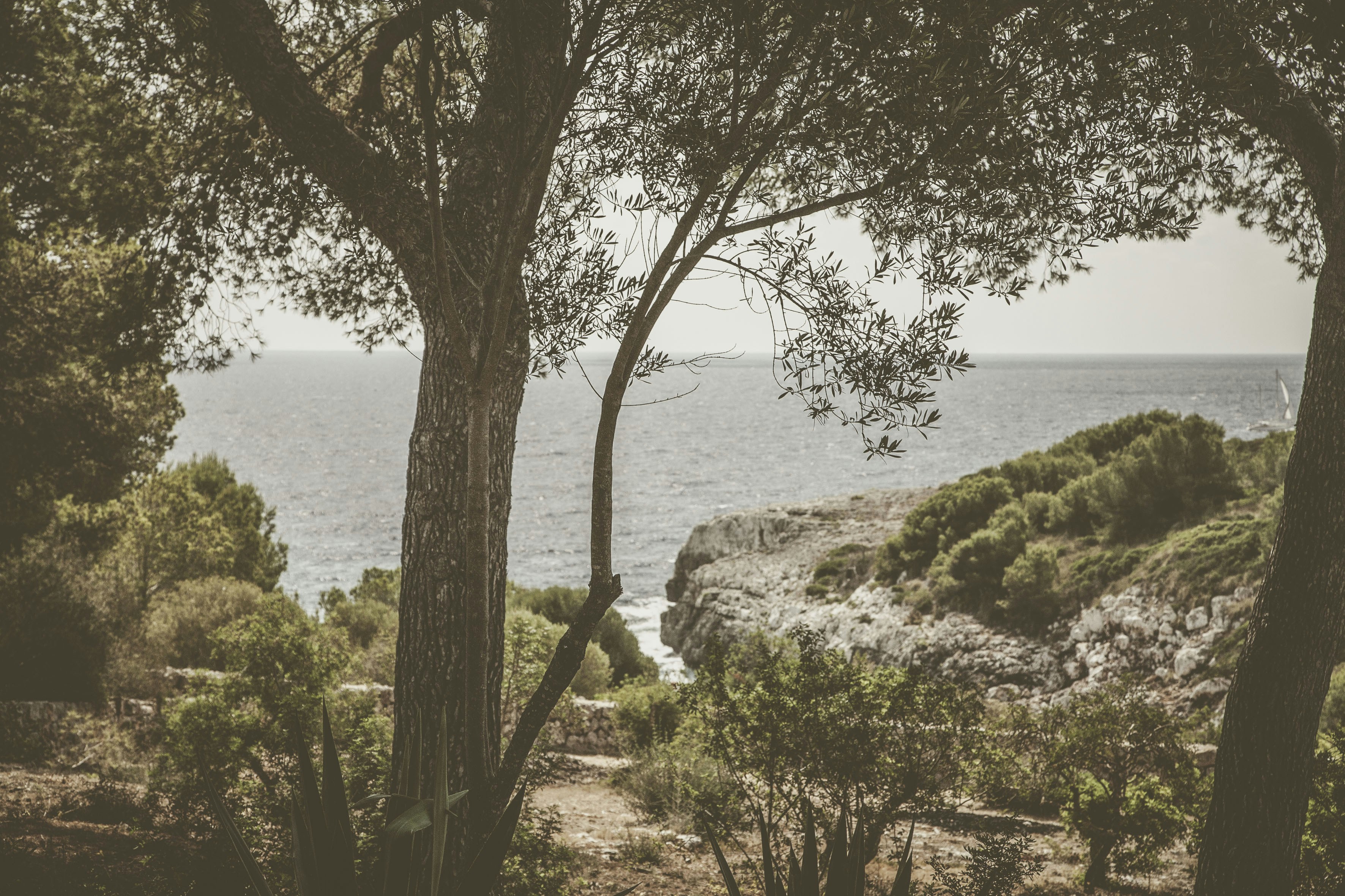 Photo by quadratmedia