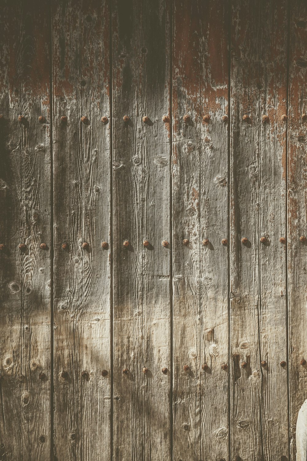 a sheep standing in front of a wooden fence