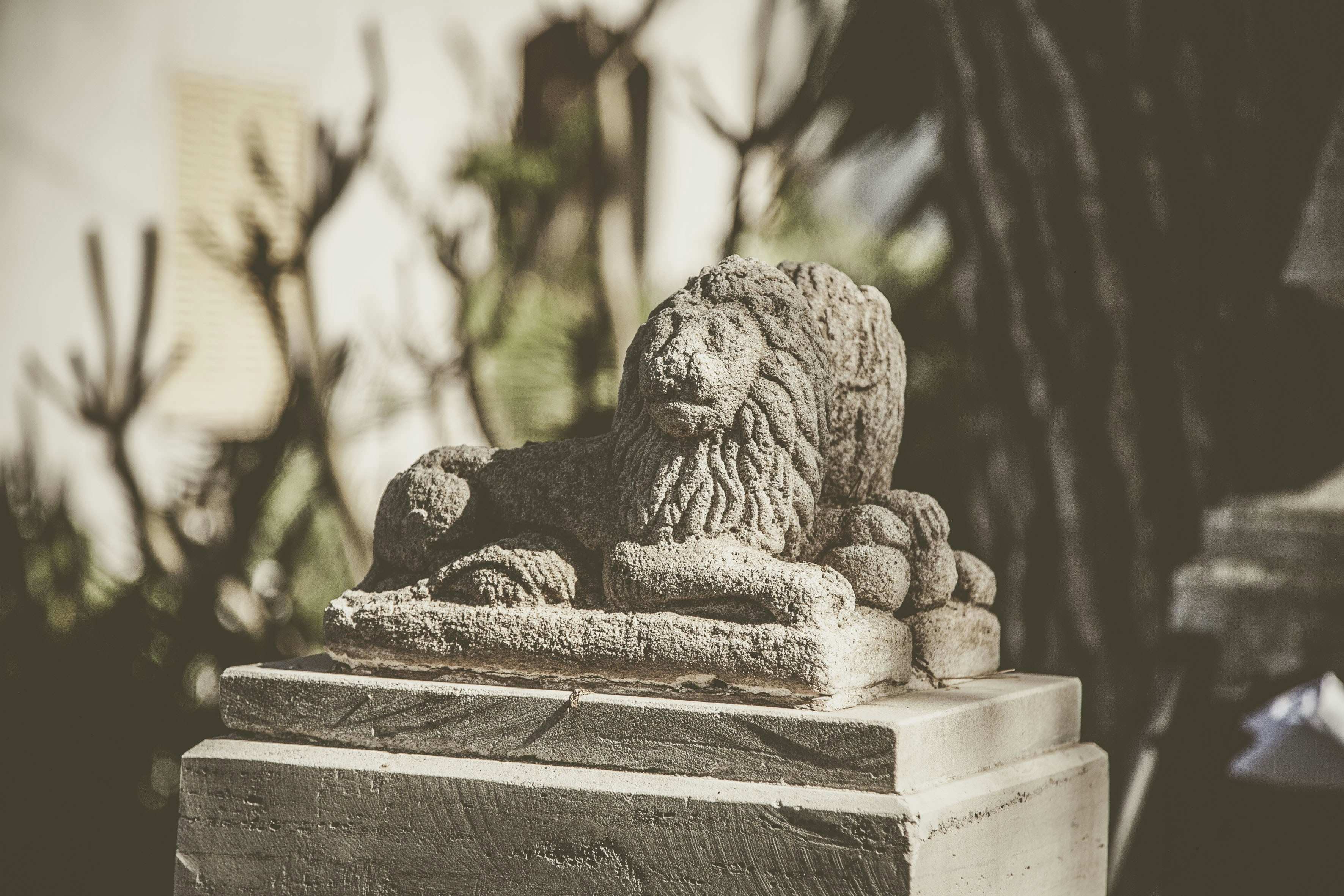 Photo by quadratmedia