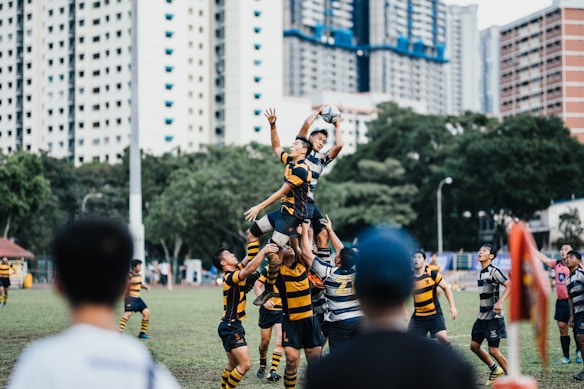 A group of rugby players is engaged in a competitive line-out during a match. Players wearing black and yellow striped uniforms lift one of their teammates to catch the ball. The opposing team is in blue and white striped uniforms, with some players preparing to challenge for possession. Tall buildings and trees are visible in the background, and spectators are present at the edge of the field.