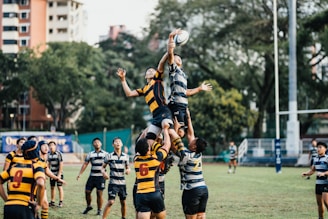 A group of rugby players are in the middle of a game, with some players lifting a teammate to catch or intercept the ball. The players are wearing striped jerseys in blue and gray or black and yellow. The scene is set outdoors on a grassy field, with trees and buildings visible in the background.