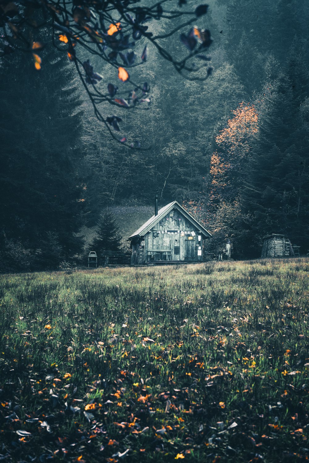 gray house surrounded by trees