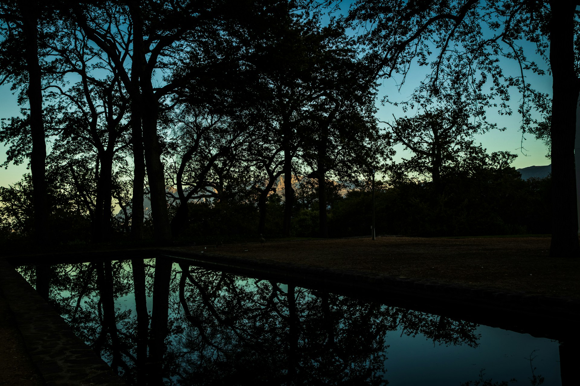woman wearing yellow long-sleeved dress under white clouds and blue sky during daytime