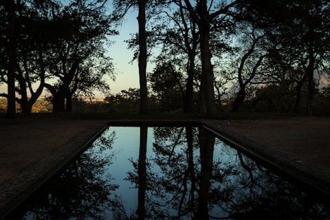 A tranquil scene of a rectangular water feature reflecting the silhouettes of surrounding trees at dusk. The sky is a gradient of blue transitioning into warm hues as it approaches the trees in the background. The area around the pool has a rustic, earthy feel with a path lined with bricks.