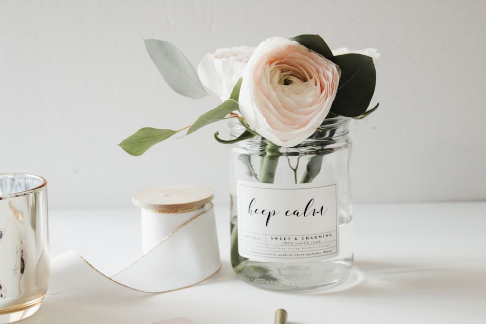 pink rose in jar