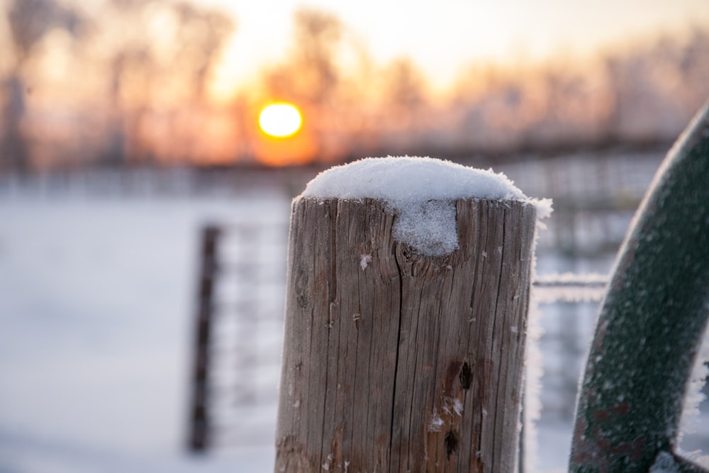 selective focus photography of wood