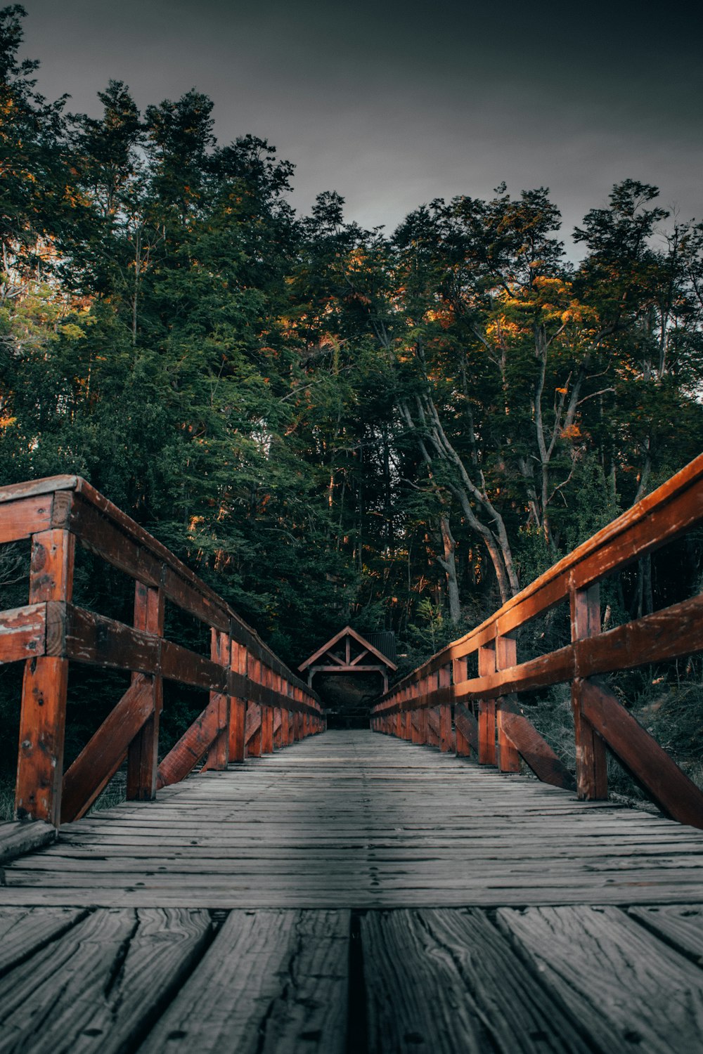 gray and brown wooden bridge during daytime