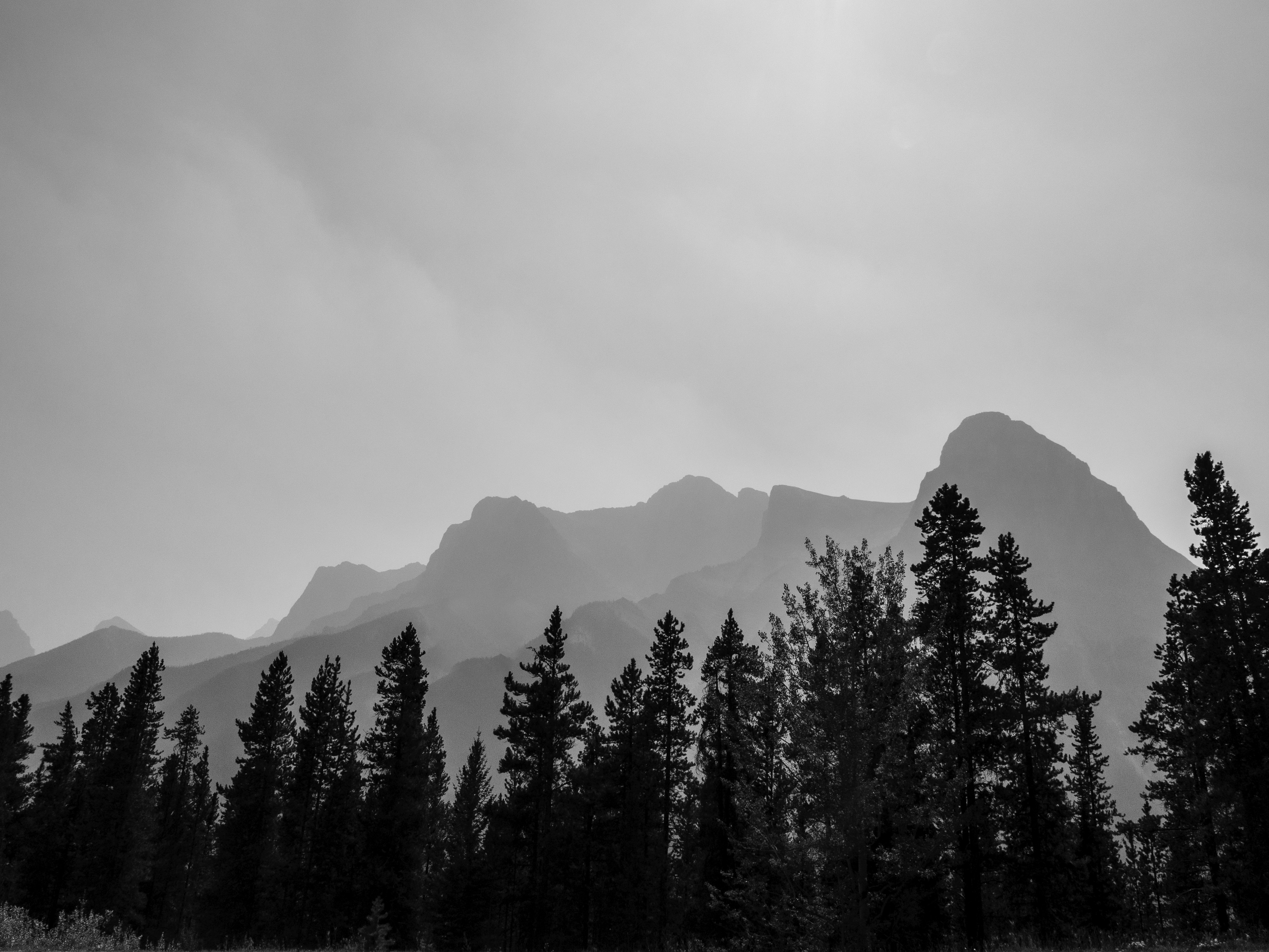 Photo by ronwhitaker