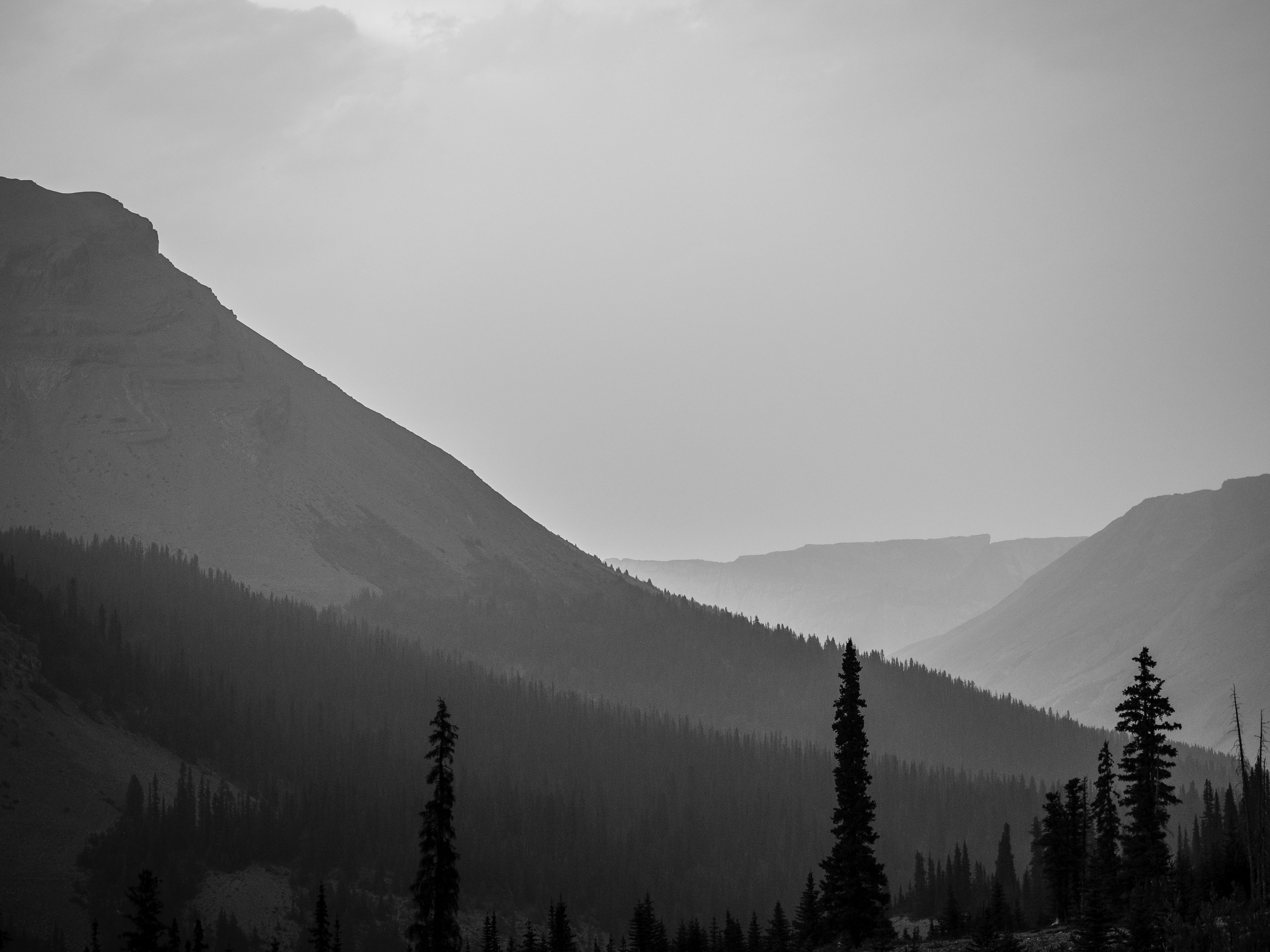 Photo by ronwhitaker