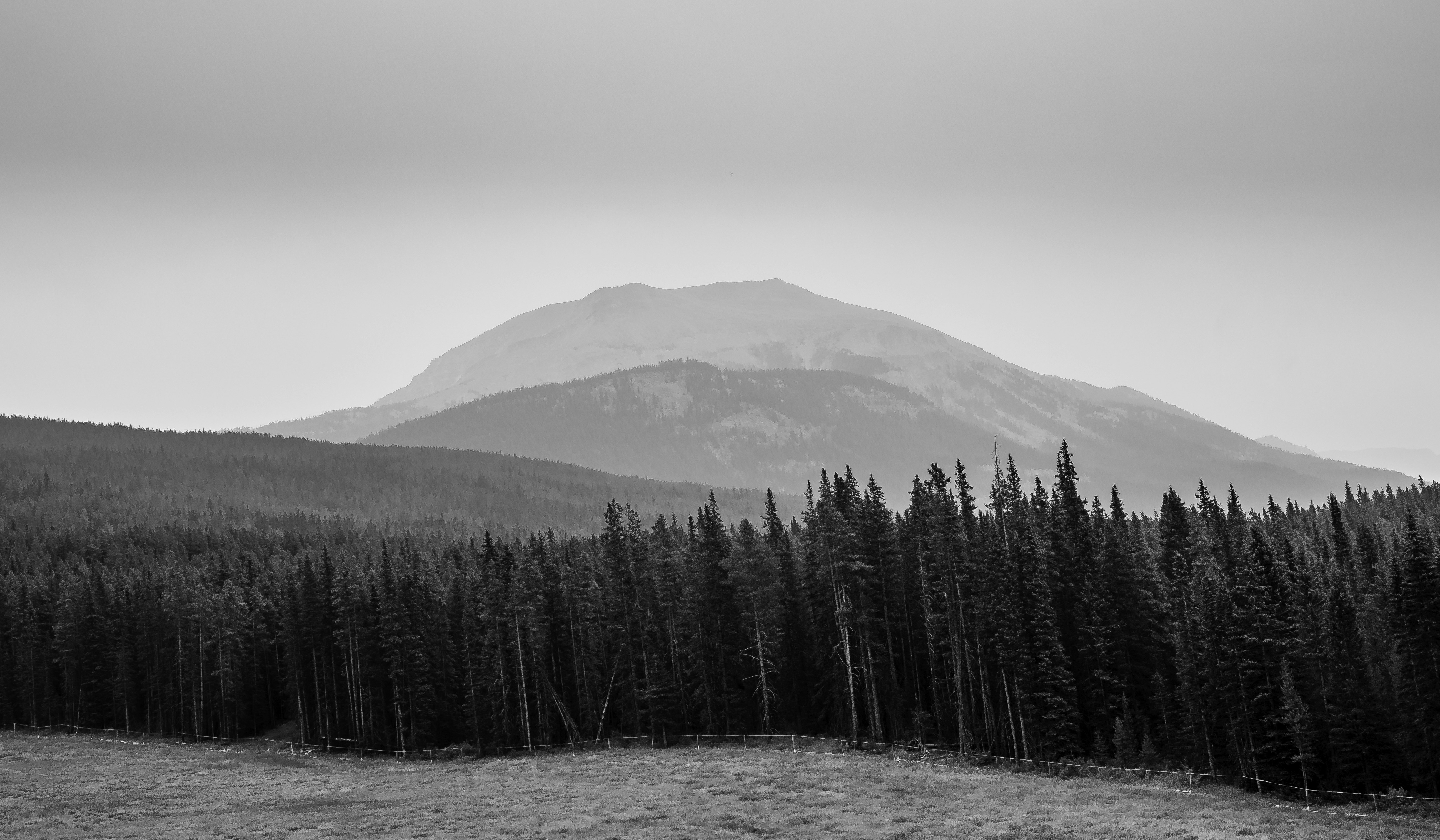 Photo by ronwhitaker