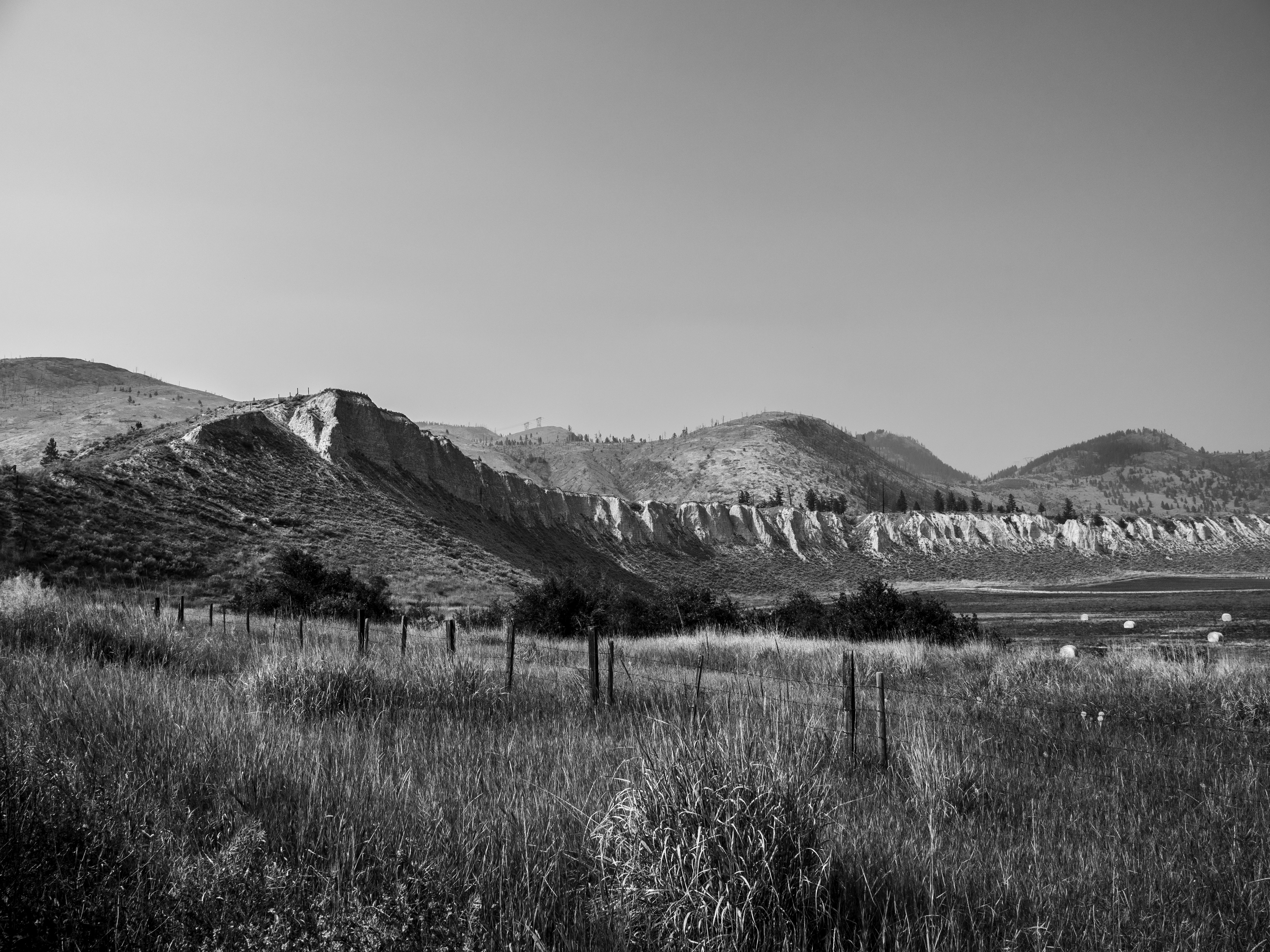 Photo by ronwhitaker