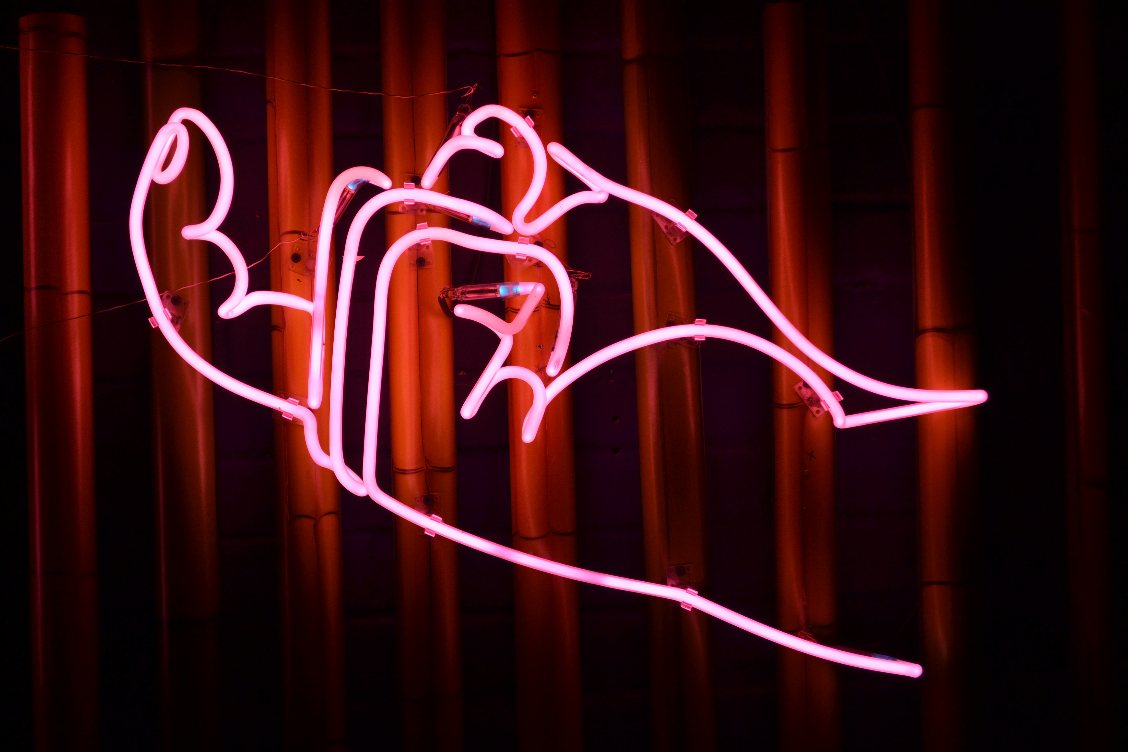 Néon: Votre Meilleur Fournisseur de Produits Promotionnels à Sion, Suisse