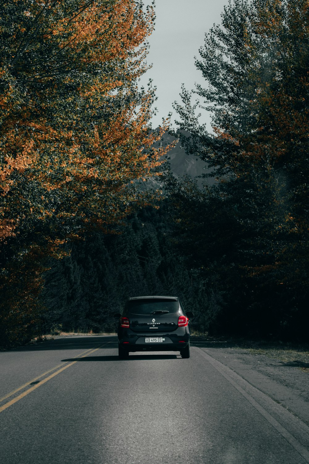 a car driving down a road surrounded by trees