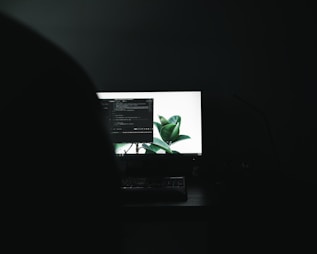wordpress website laten maken hosting en onderhoud