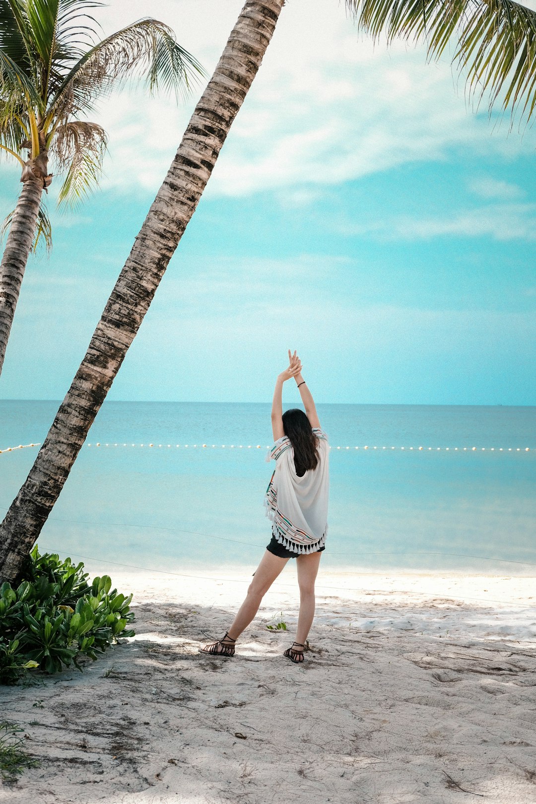 woman standing under green coconut tree beside beach