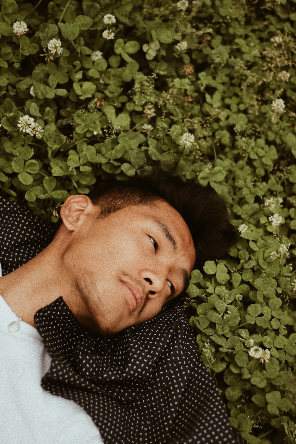 녹색 잎이 달린 식물에 누워있는 남자