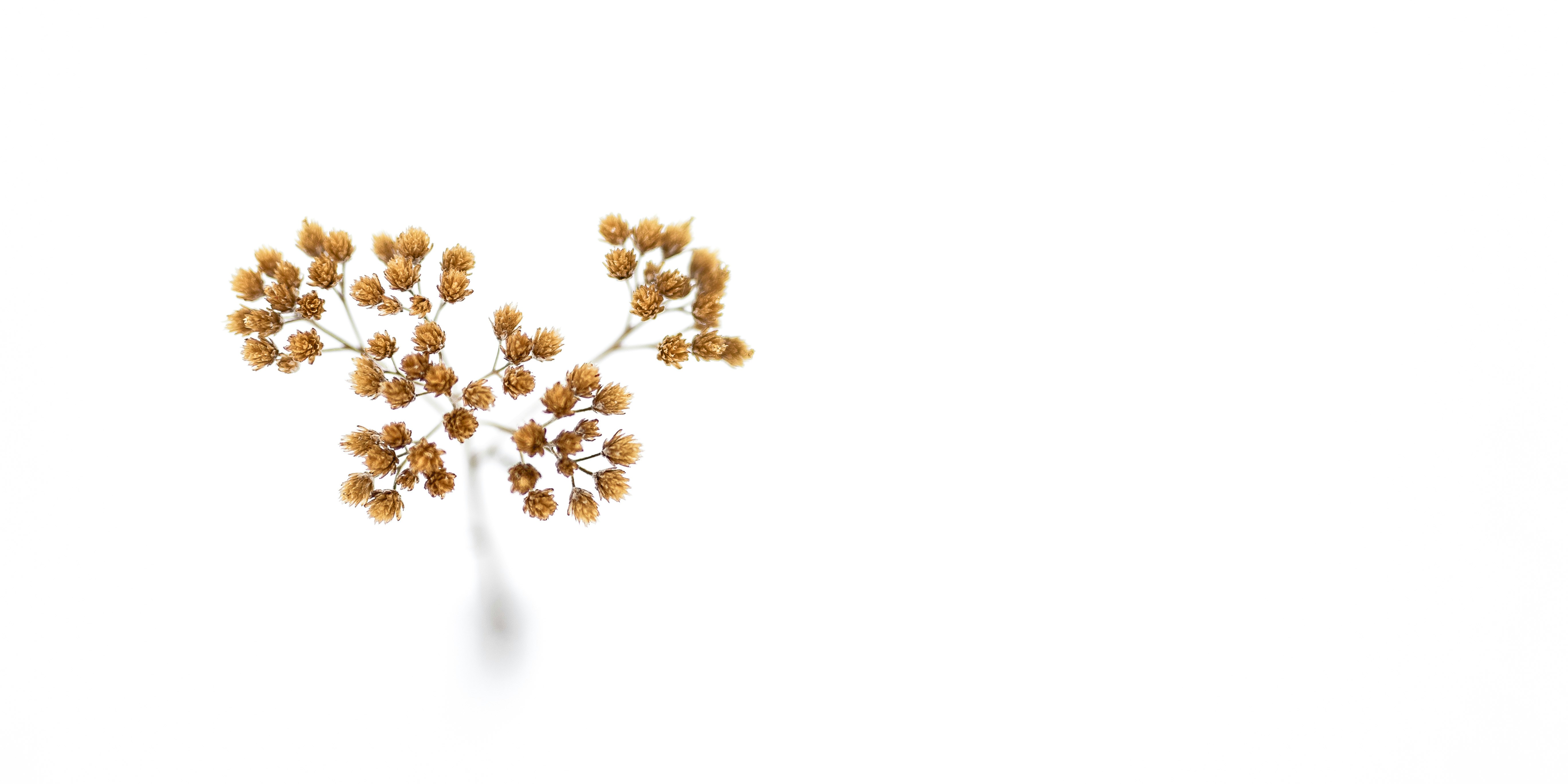 Image illustrating API integration for businesses