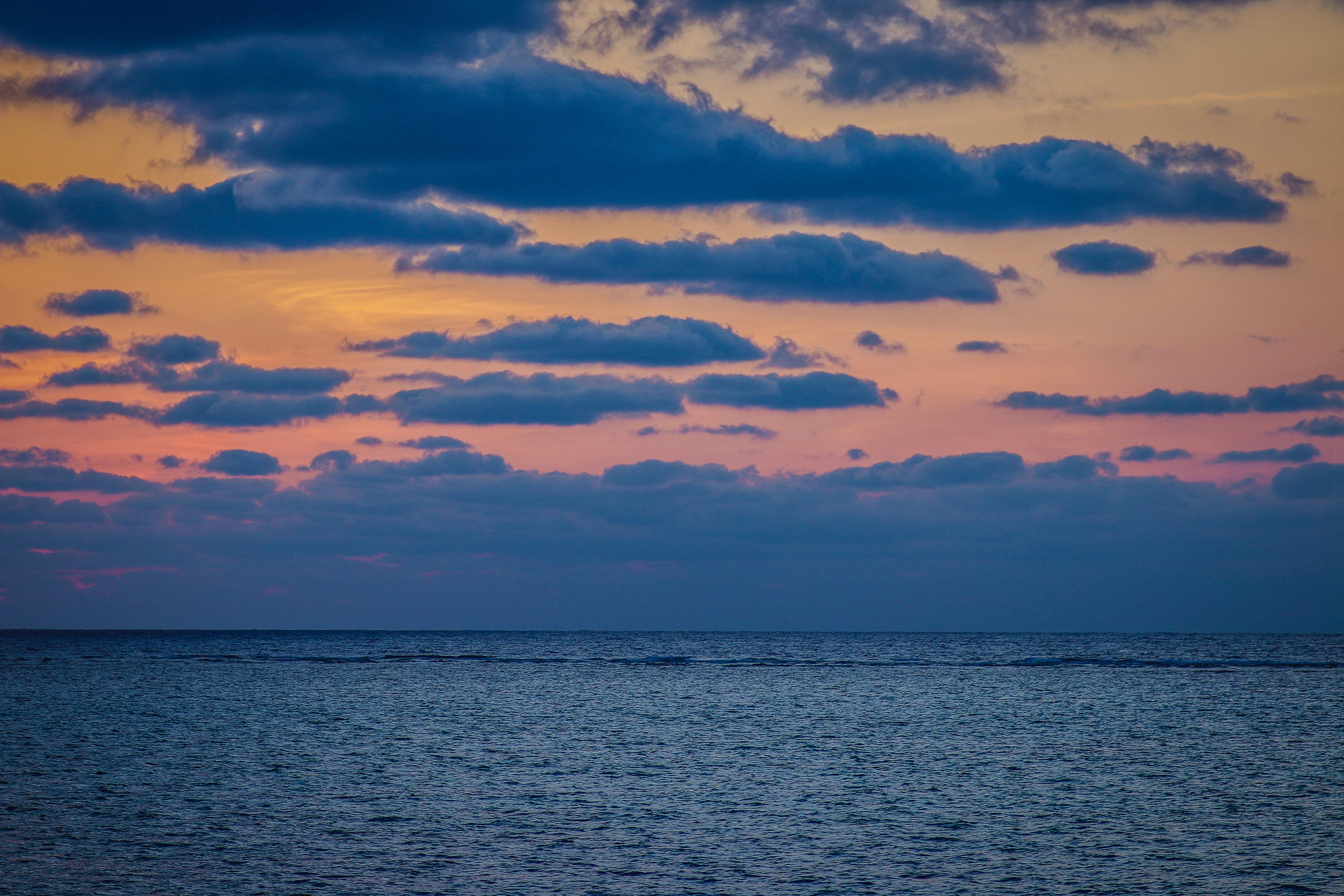 Photo by takoyakiboy