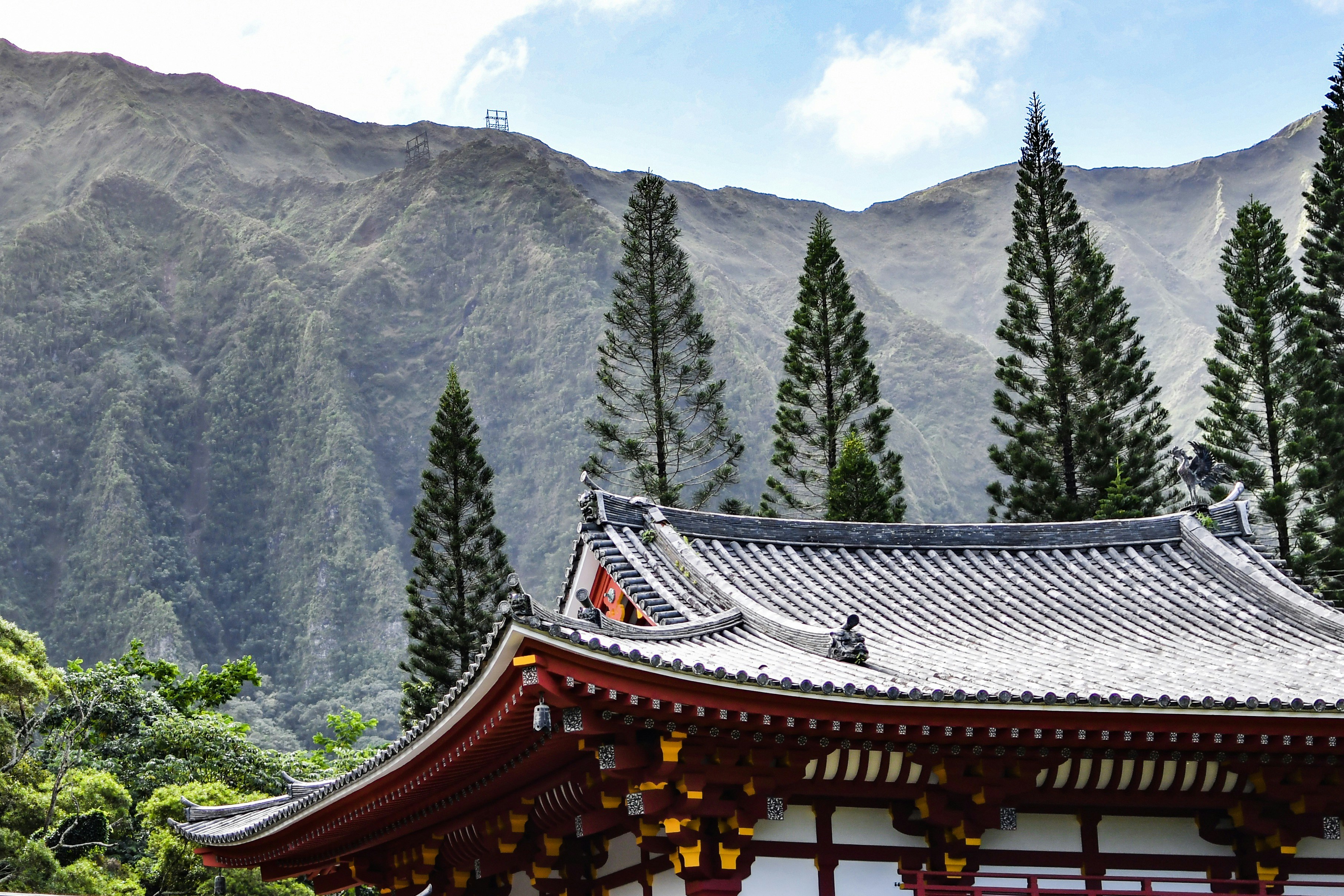 Photo by thomas_ashlock