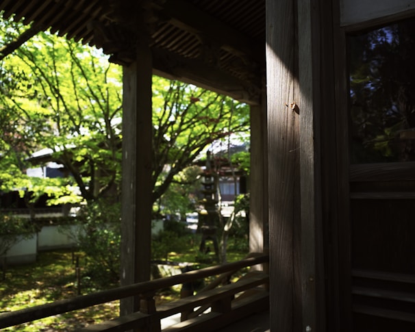 A serene image of a wooden structure surrounded by natural light.