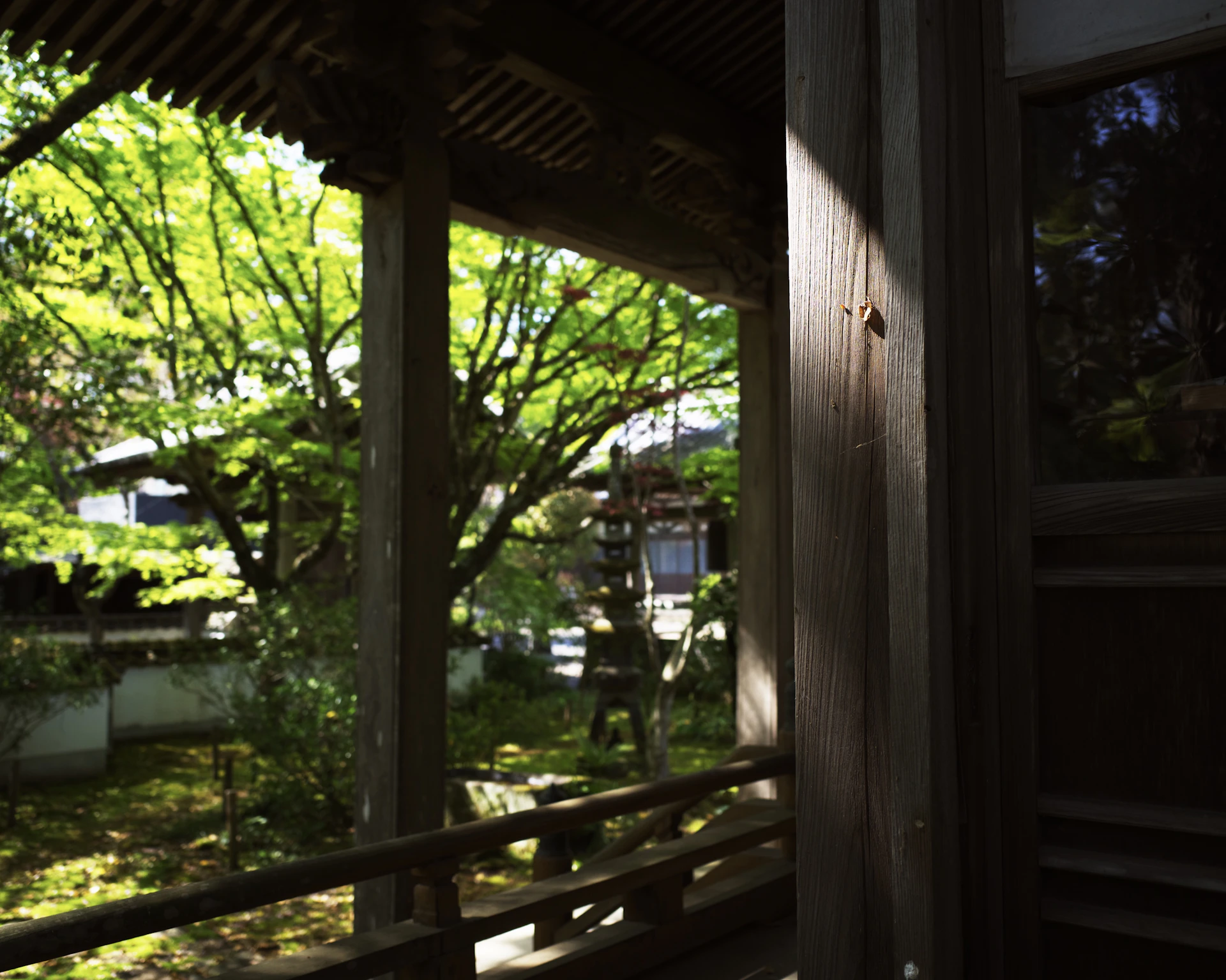 A serene morning view of Amma Stays and Trails courtyard, framed by traditional Kerala architecture with white walls and wooden accents.