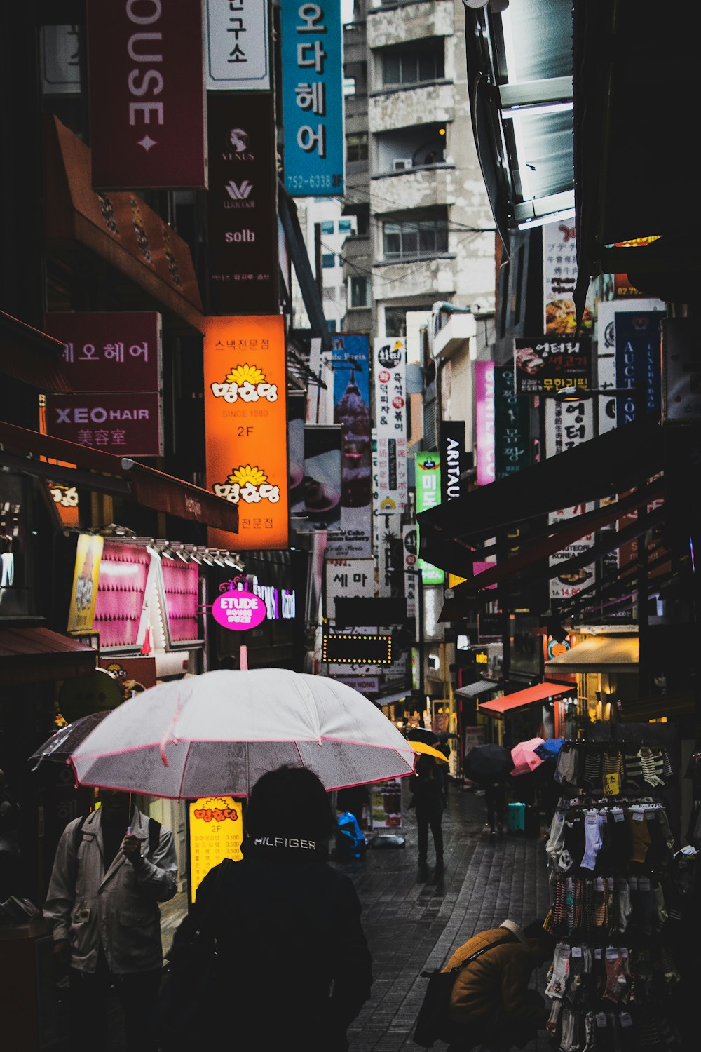 people walking on pathway holding umbrella