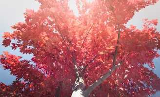 red-leafed tree