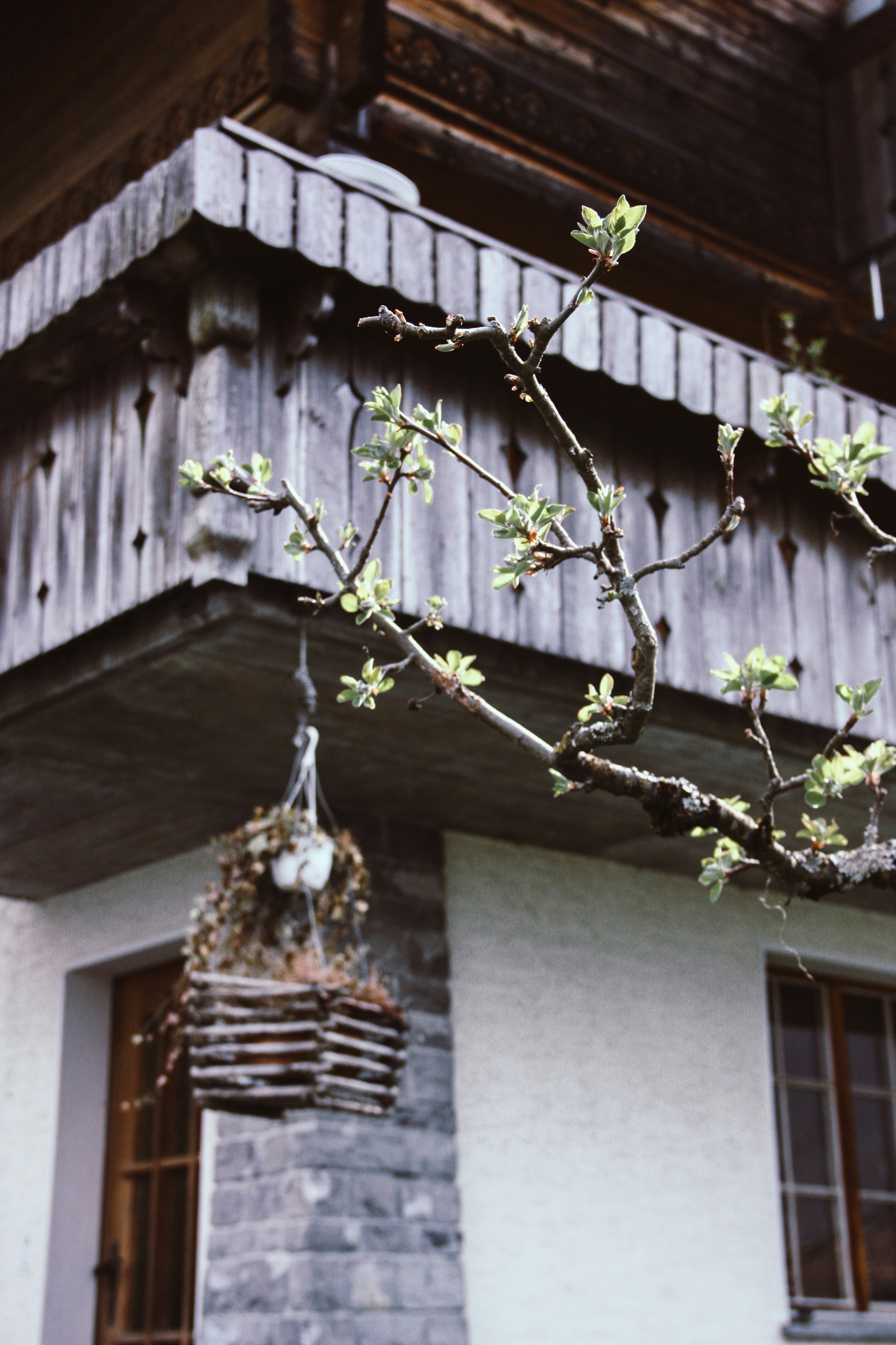 Photo by theverticalstory