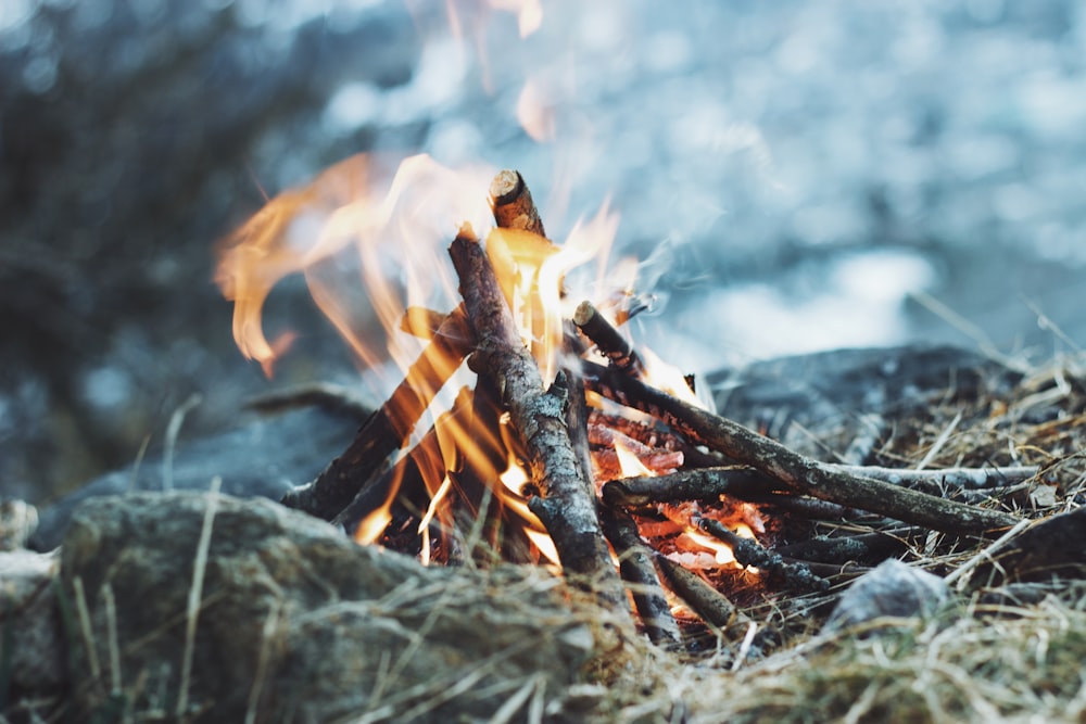 bonfire on ground