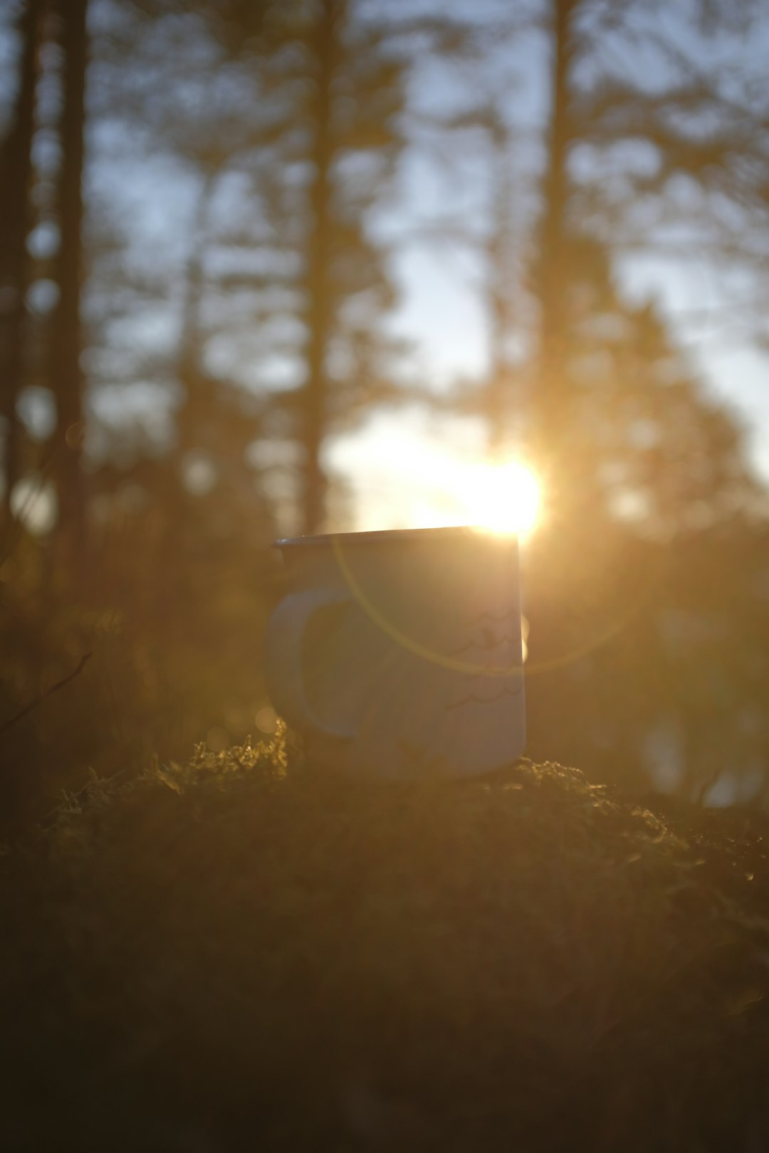 sun rays through white mug