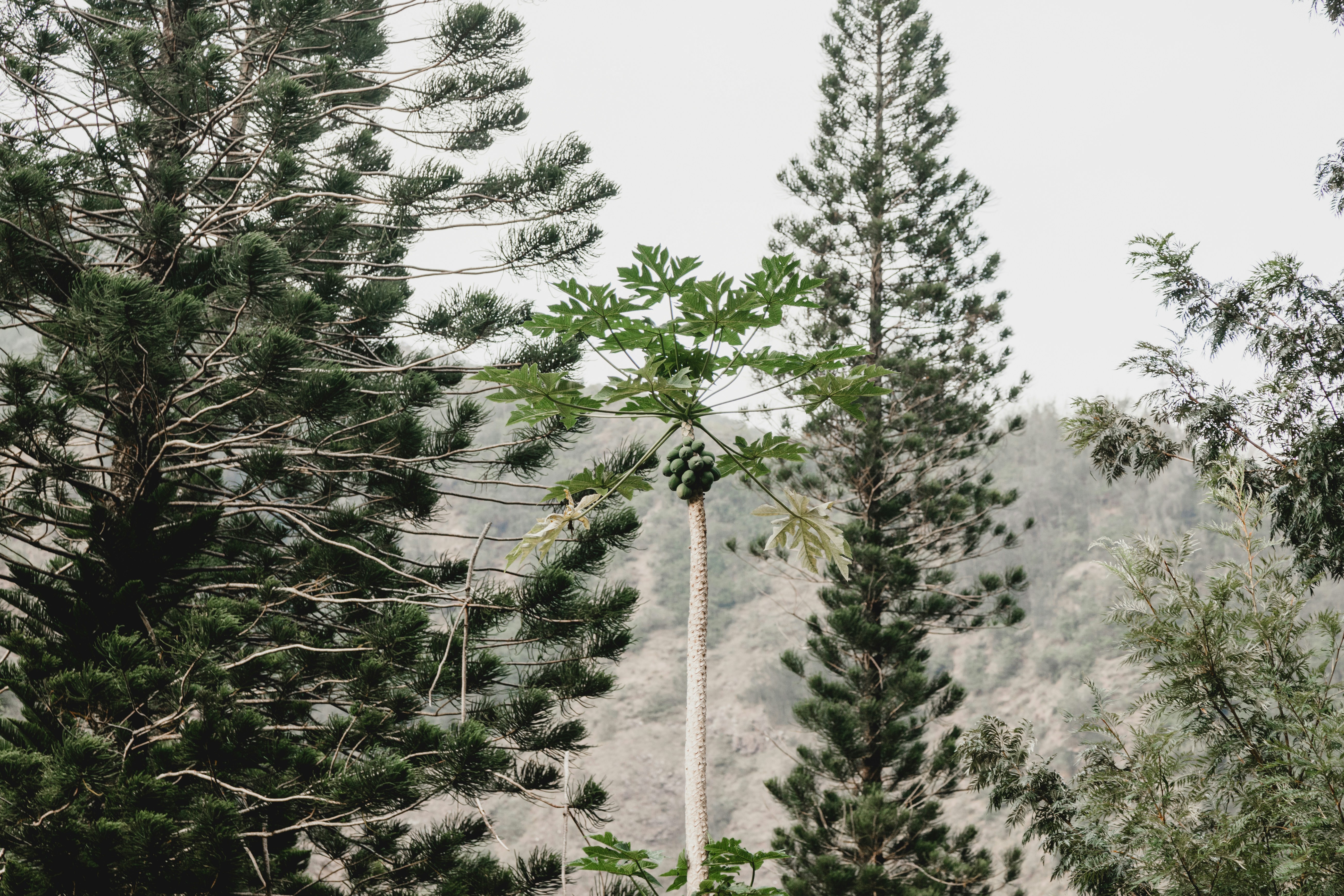 Photo by georgiadelotz