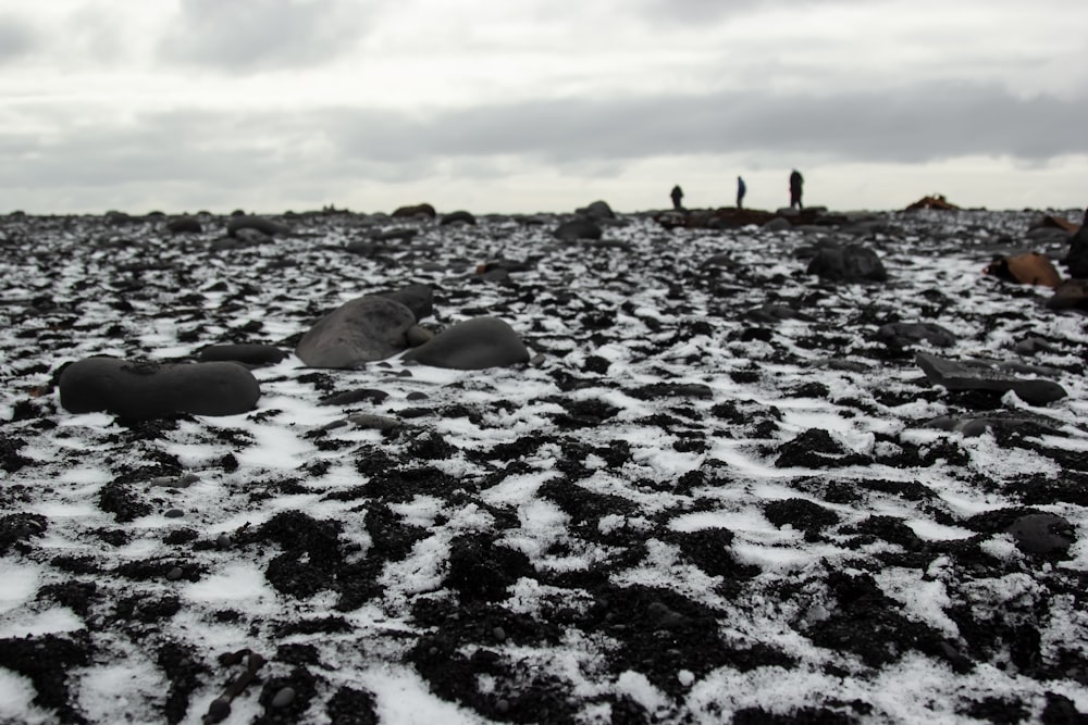 a group of people standing on top of a snow covered field