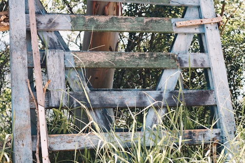 An old, weathered wooden ladder stands among tall grass and dense greenery. The wood appears aged with faded blue and green paint, showing signs of rust and corrosion on the metal parts. The ladder is positioned against what appears to be a tree trunk, partially covered by the surrounding vegetation.