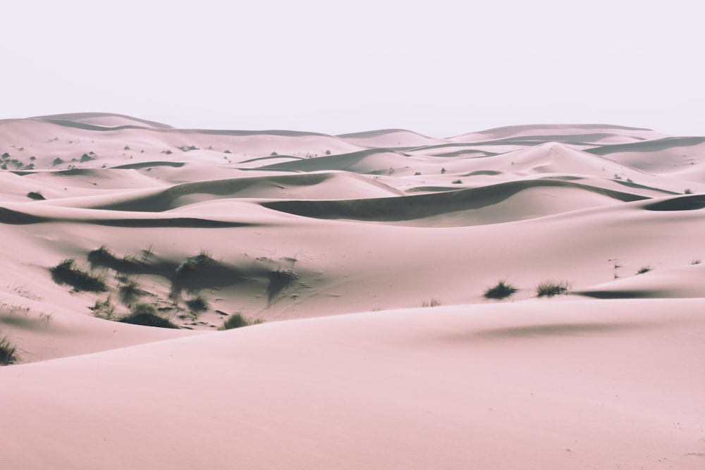 Un grupo de dunas de arena en el desierto